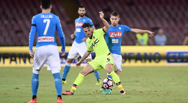 Il Napoli batte il Bologna 3-1 Milik fa Higuain e porta Sarri in vetta