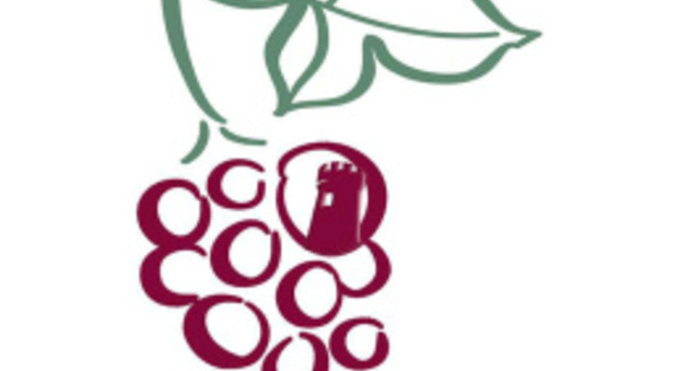 Casavecchia & Pallagrello wine festival: tre giorni di degustazioni e visite in cantina