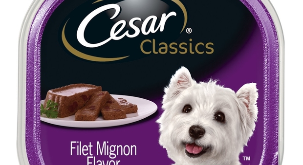 Cibo per cani pericoloso in alcune confezioni a marca Cesar