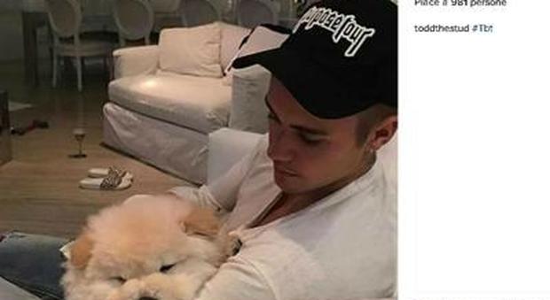 Justin Bieber abbandona il cane malato