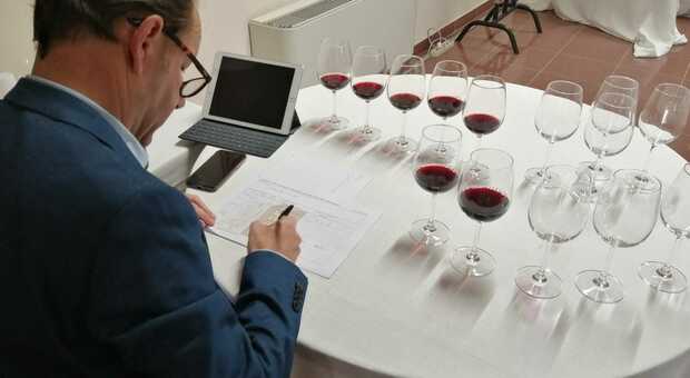 L’Umbria del Vino 2023: "alla cieca" cercando le eccellenze in bottiglia. Oggi si conclude la prima fase