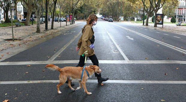 Covid, la passeggiata con il cane «può aumentare il rischio contagio del 78%»