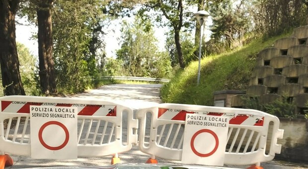 Effetti del maltempo: chiuso un tratto di via Bramante a San Severino per gli alberi pericolanti