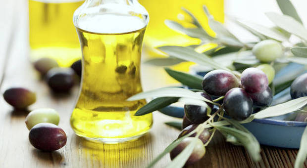 Olio d'oliva, crolla la produzione italiana: -38%. È invasione dalla Tunisia