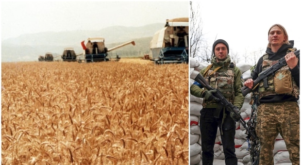 La guerra del grano divide l'Europa: l'invasione del frumento dall'Ucraina mette in ginocchio le economie nazionali
