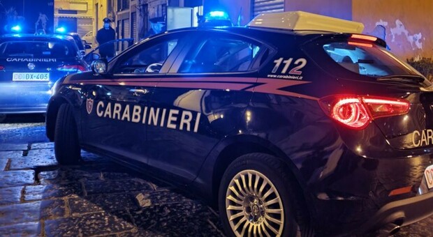 I Carabinieri sono stati affiancati dall'azione dei Vigili del Fuoco