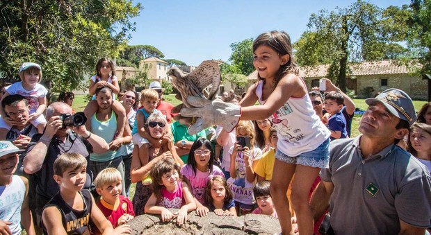 Animali curati e liberati dalla Forestale: centinaia di bambini hanno partecipato all'evento nell'area di Fogliano