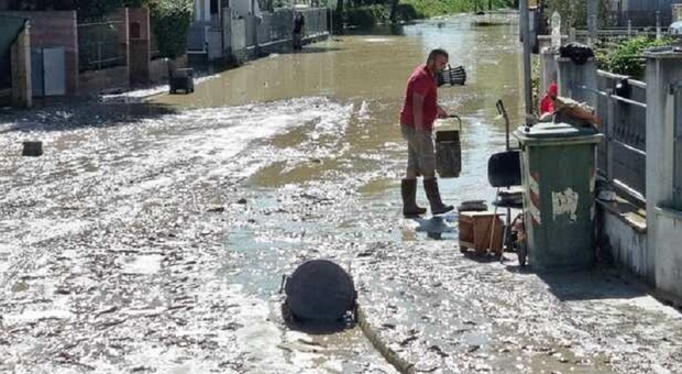 Alluvione nelle Marche: «Fiumi non curati e ponti fatti male». Ci sono altri 23 indagati