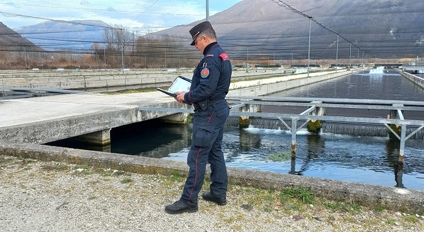 Gestione irregolare di rifiuti, denunciato dai carabinieri forestale il titolare di un'impresa