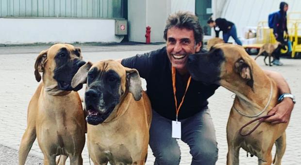 Roma, "Una Cuccia in sospeso": l'iniziativa dedicata al riciclo green degli accessori degli animali domestici