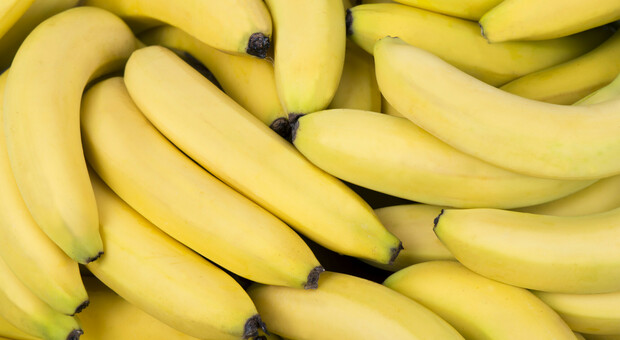 Acerra, imprenditore dona quintali di banane alle famiglie disagiate