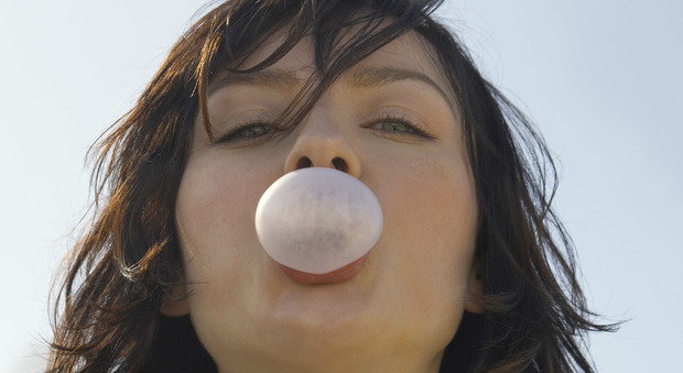 Chewing gum con xilitolo, rischio mortale per i cani: ecco perché