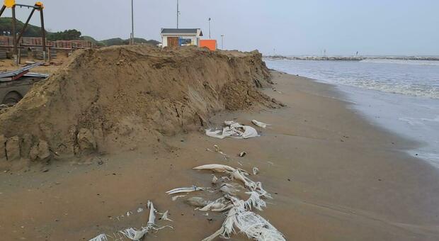 Mareggiata a Jesolo, le raffiche di Scirocco "mangiano" la spiaggia: erosi fino a 10mila metri cubi di sabbia