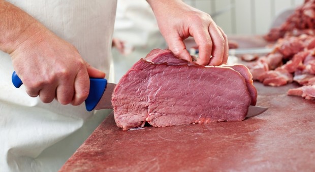 Scandalo Brasile: carne avariata e infetta per le esportazioni in Italia