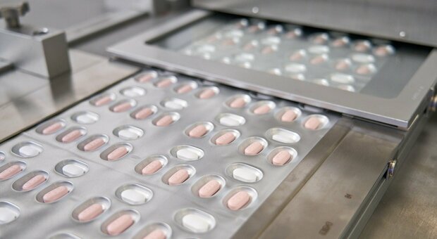 Pillola Pfizer, Galli: «Utile solo nei primi giorni di malattia, con infezione avanzata non serve»