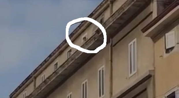 Trieste choc, bimba cammina sul cornicione del palazzo: il papà la salva in tempo