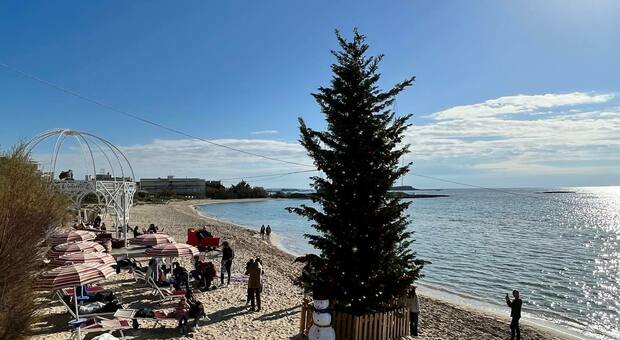L'albero di Natale al lido Le dune di Porto Cesareo