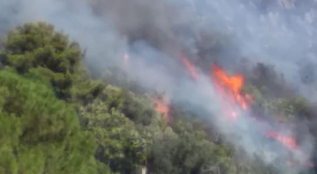 Castel San Giorgio, colline in fiamme: è il terzo incendio in un mese