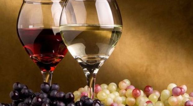 L'Italia può brindare, torna ad essere il primo produttore mondiale di vino