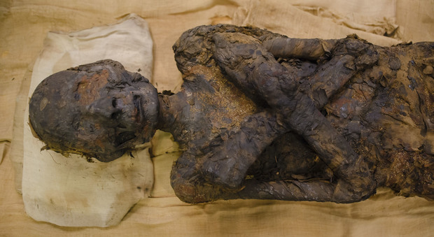 Medicina e Polizia al lavoro per dare un volto ai due egiziani di 3mila anni fa