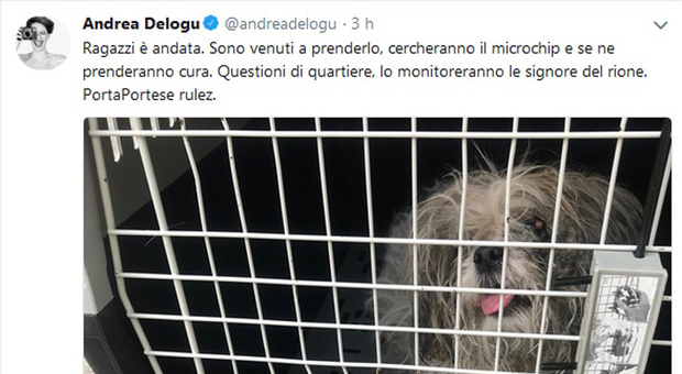 Andrea Delogu salva il cagnolino in fin di vita: «Ho chiamato lo 060606 per un aiuto e hanno messo giù»
