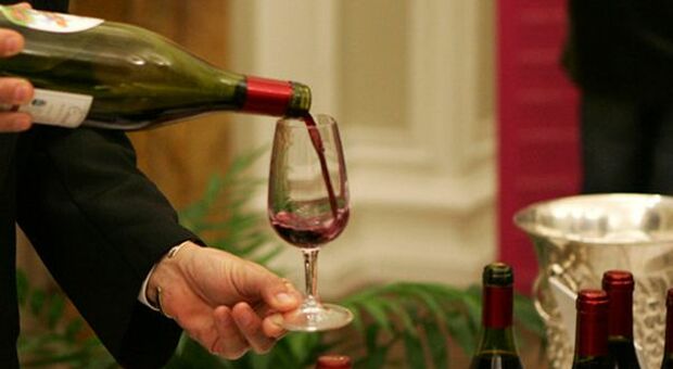 Cibus, Sartori (Casa Vinicola Sartori): vino eccellenza del made in Italy', puntare su qualità e sostenibilità