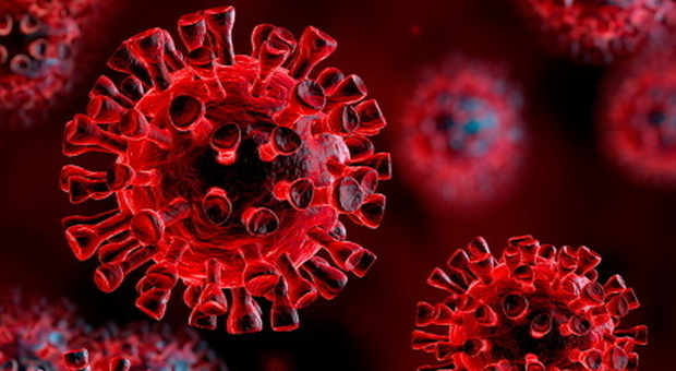 Coronavirus, antinfiammatorio da 6 euro riduce la mortalità da Covid: studio Oxford su 6.000 pazienti