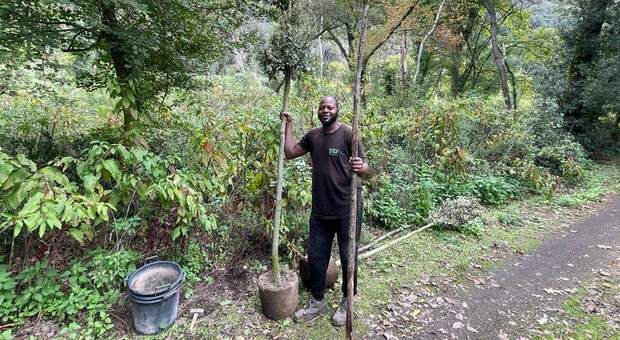 "Grazie Giuseppe!" Dal Niger agli Astroni a piantare alberi per la comunità