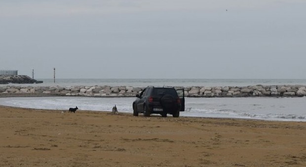 Passeggiata sul mare con i cani: loro in Suv, gli animali a piedi
