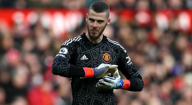 De Gea - Figure 1