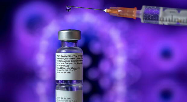 Vaccino, ritardi Pfizer: il governo rivede il piano. Le Regioni chiedono garanzie