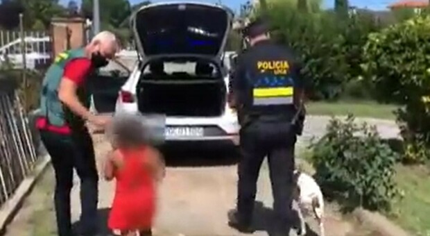 Bambina di 7 anni abbandonata in strada dal patrigno insieme al cane: i passanti li vedono abbracciati e chiamano aiuto