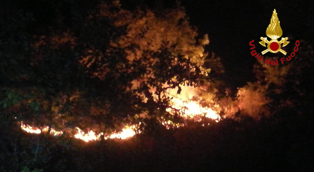 Lancia una lanterna cinese alla festa: scoppia un incendio, bosco devastato