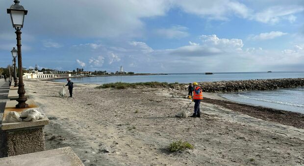 Tutto pronto per i primi bagni: ripuliti 12 chilometri di spiagge libere