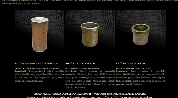 Carne di coccodrillo in vendita in Italia, vasetto da 250 grammi costa 280 euro