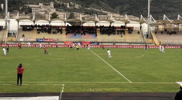 Serie C, a Gubbio il Teramo trova un punto nell’uovo di Pasqua (1-1)