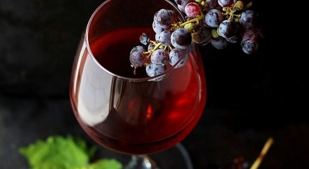 Il re Novello è pronto: altre 24 ore e si gusterà il primo vino del 2018