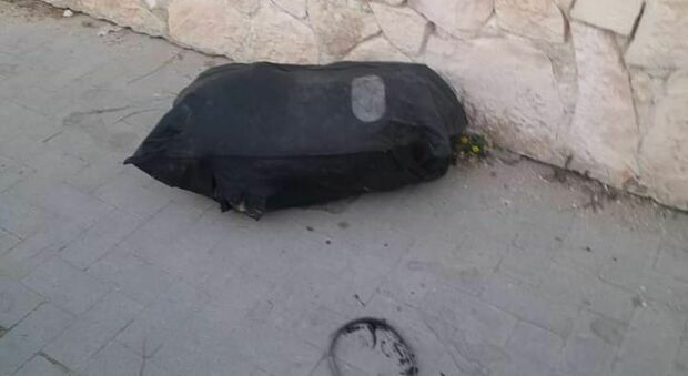 In una busta nera il cadavere di un cane: macabro ritrovamento a due passi dal mare