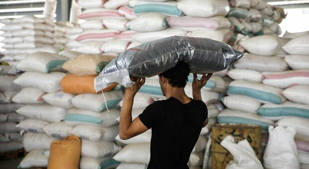 Grano, accordo segreto tra Egitto e Russia: Il Cairo compra mezzo milione di tonnellate di cereali da Mosca