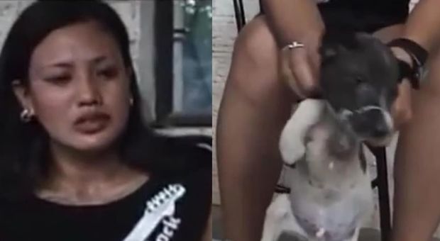 Donna spegne una sigaretta negli occhi di un cucciolo e registra il momento per i feticisti dei maltrattamenti degli animali