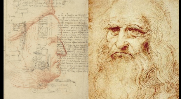 Il volto di Federico da Montefeltro disegnato da Leonardo da Vinci