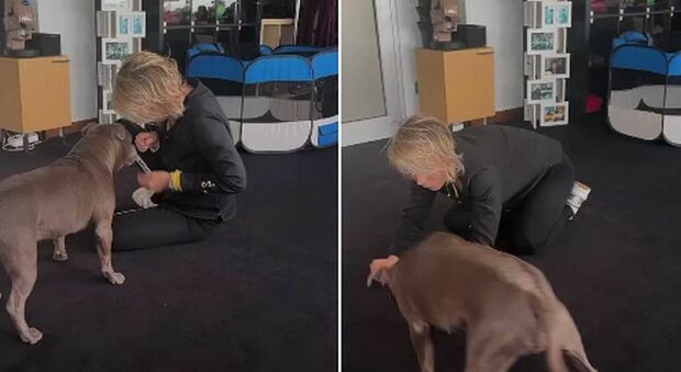 Maria De Filippi, la prima volta sui social emoziona i fan: il video dolcissimo col suo cane Saki