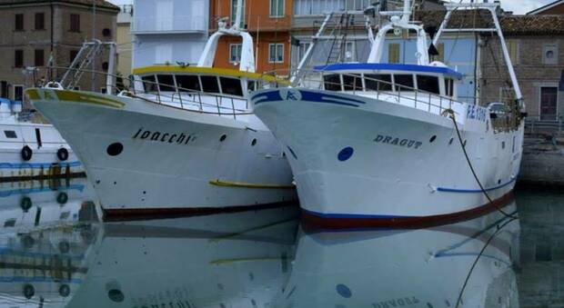 Solo due le imbarcazioni in mare: pesce azzurro pagato a peso d’oro