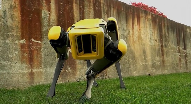 Arriva il cane robot per la famiglia: in commercio dal 2019