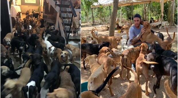 Arriva l'uragano. Un uomo acccoglie 300 animali a casa sua. (immagini pubbl da Ricardo Pimentel Cordero su Fb)