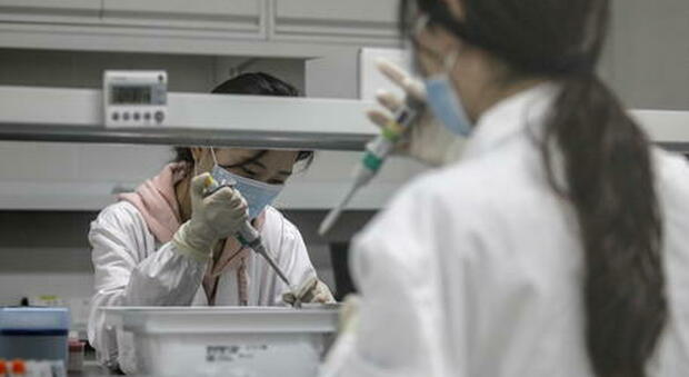 «Vaccino cinese poco efficace», Pechino ammette: protezione non molto alta