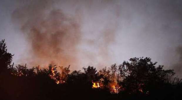 Roma, incendio a Monte Mario: in fiamme sterpaglie sulla collina vicino la Farnesina