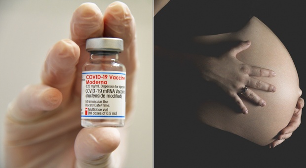 Covid: il vaccino non riduce la fertilità, il virus sì