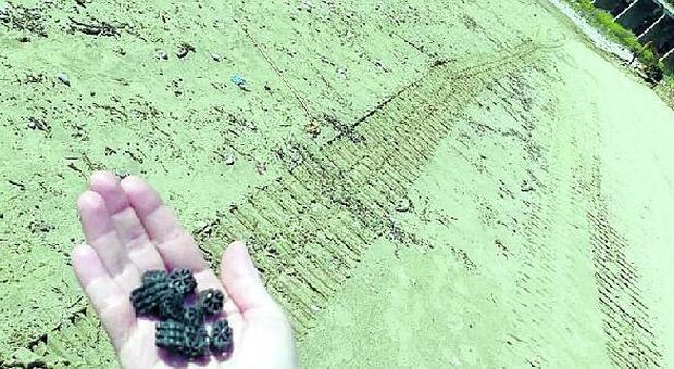 Formia, il mistero dei dischetti sulla spiaggia: trovate nuove rotelline nere, parte l'esposto in Procura