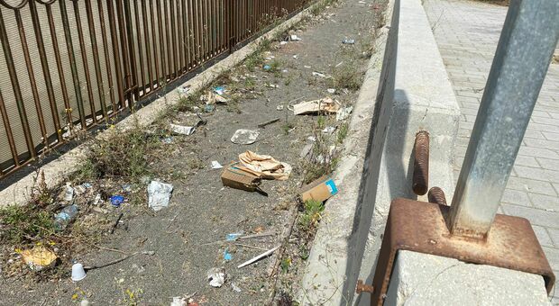 Giungla al Mercatello tra rifiuti, topi e blatte «Parco, allarme igiene»